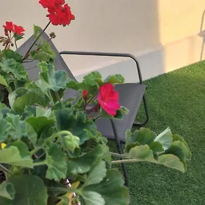  Appartamento Perla Marina